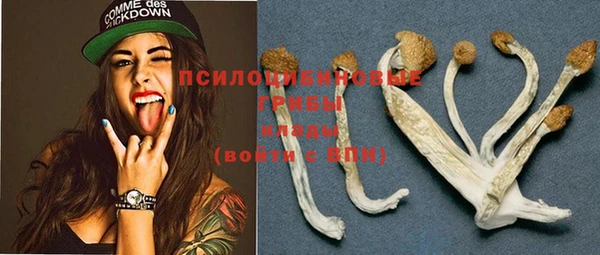 дмт Вязники