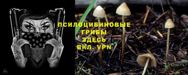 дмт Вязники