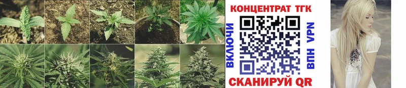 Дистиллят ТГК жижа  Шумерля 